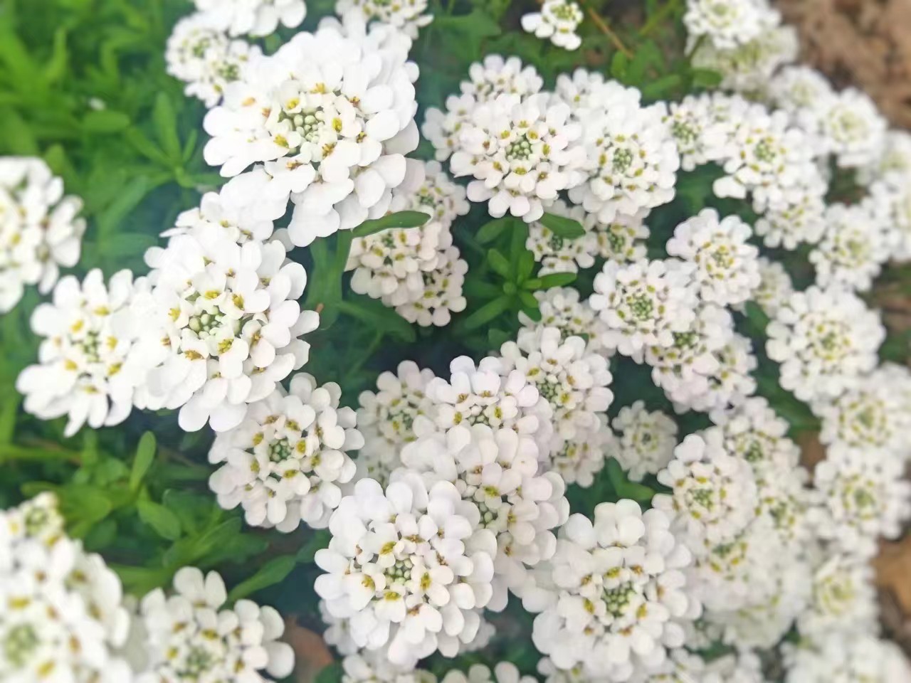 读书笔记：由加速电荷推导出的电磁波性质(光传播的经典理论)